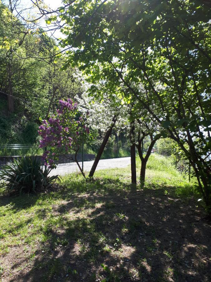 Dedin Raj Golubac Exterior foto